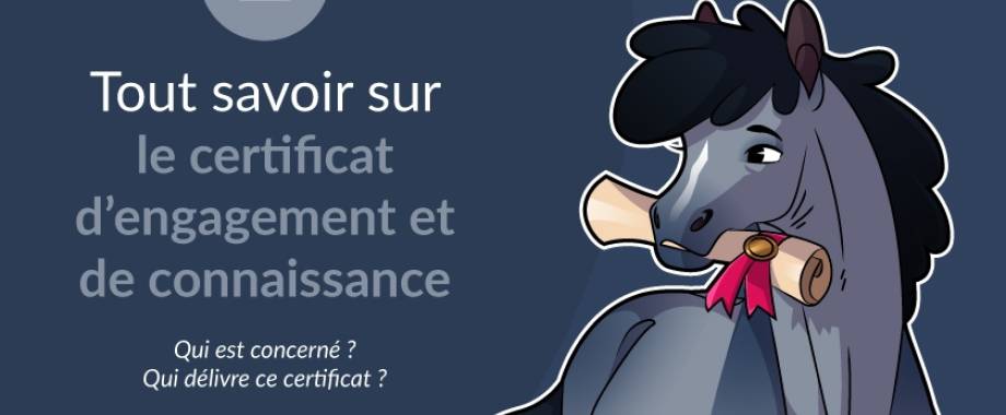 Certificat d'engagement et de connaissance - Groomy