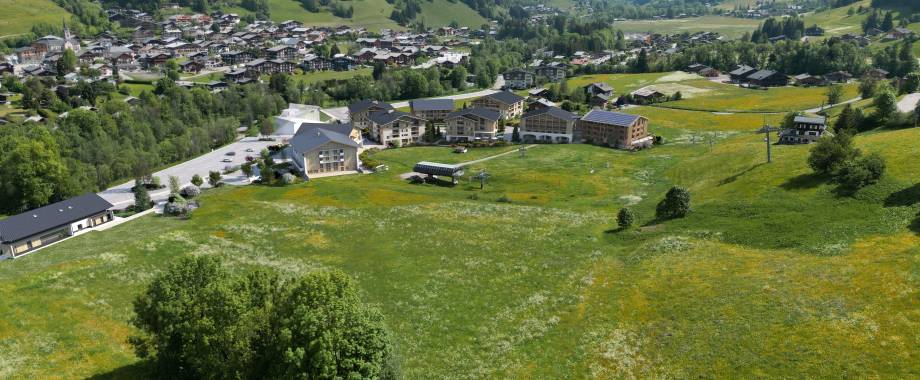 Quartier des Varins : perspective générale - Teractem