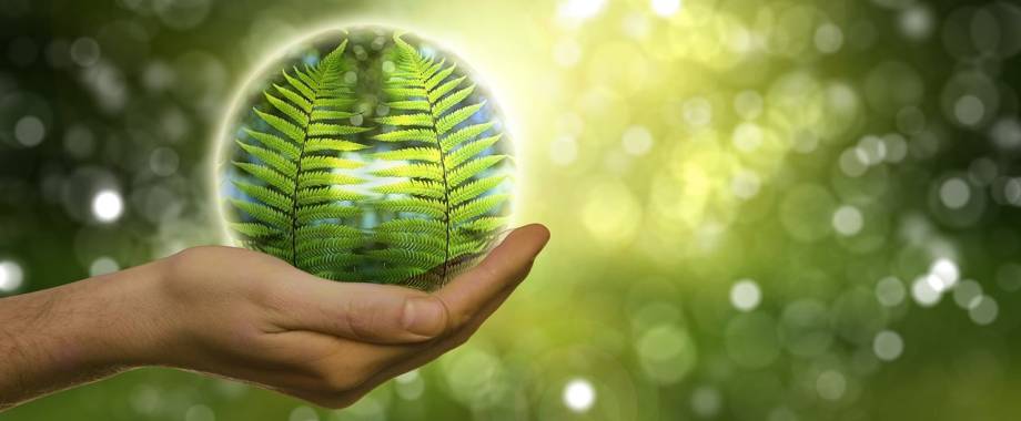 Aide financière Soutien Nature Fougère - Gerd Altmann/Pixabay