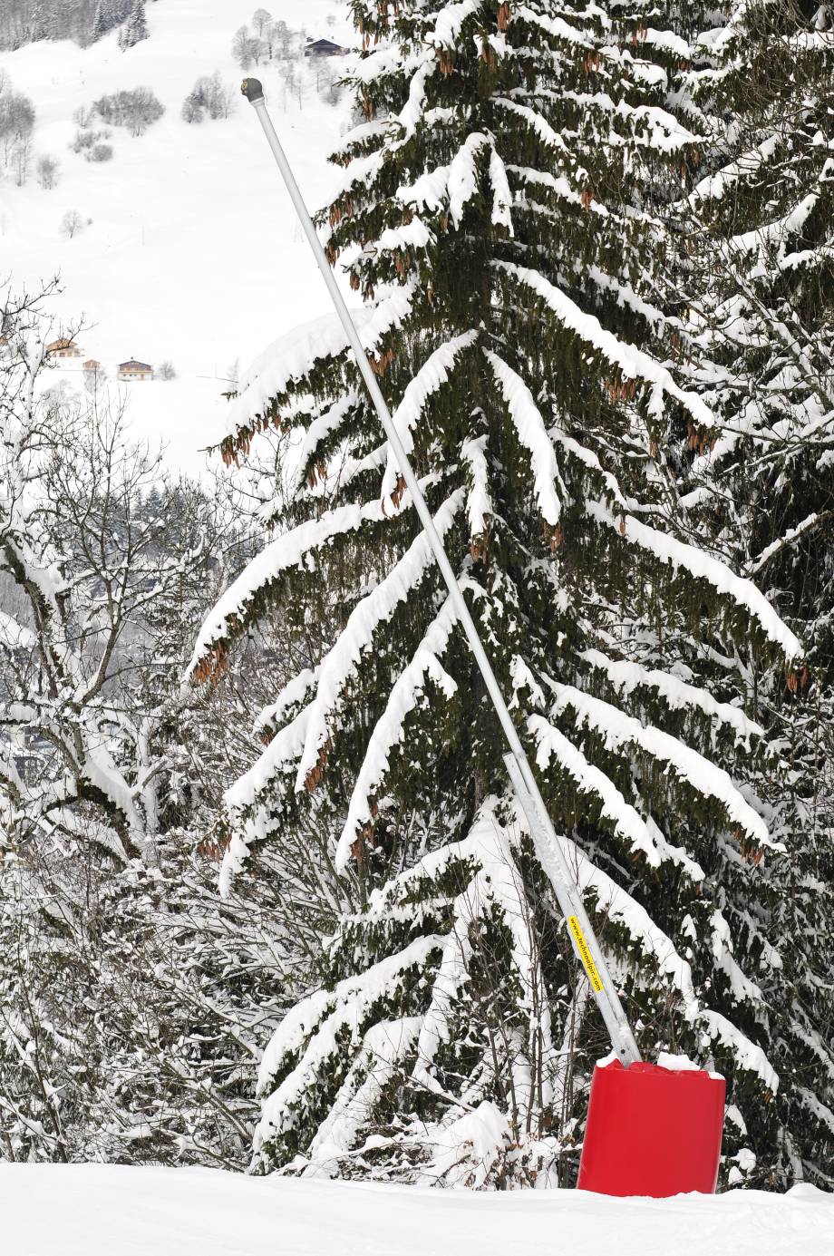 Perche à neige - Gaël Joncour