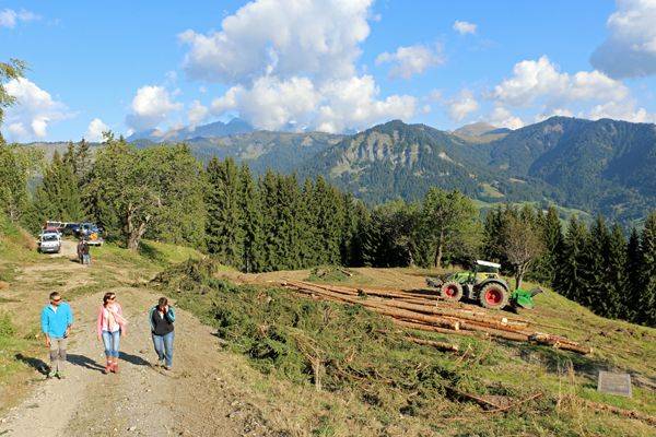 Reconquête de pâturages rongés par la forêt et les arbustes