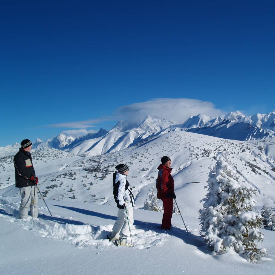 Domaine enneigé Ski de randonnée - --