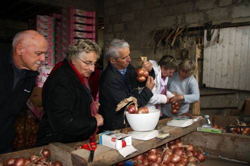 Tressage des oignons rouges de Roscoff en octobre 2010
