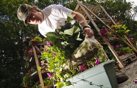 Fleurissement de Praz - Gaël Joncour/Detailphoto
