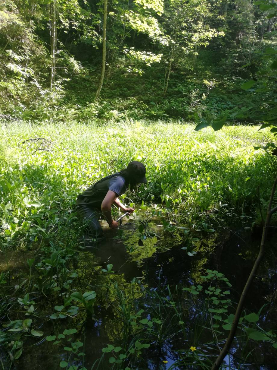 Carottage (forage d'exploration) de la zone humide appelée « Gouille noire »