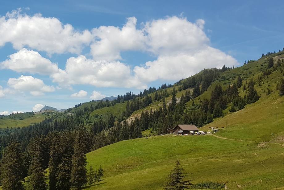 Chemin du Plan de l'Aar