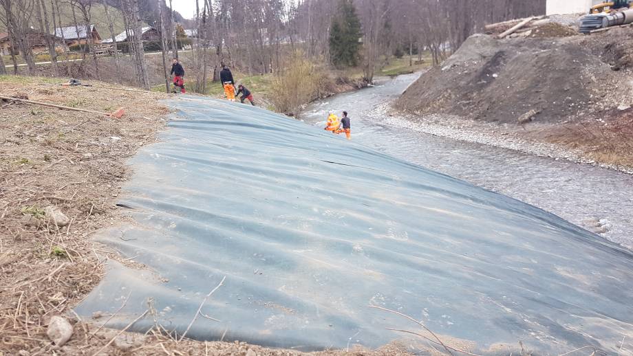 Zone bâchée pour limiter la repousse de la renouée