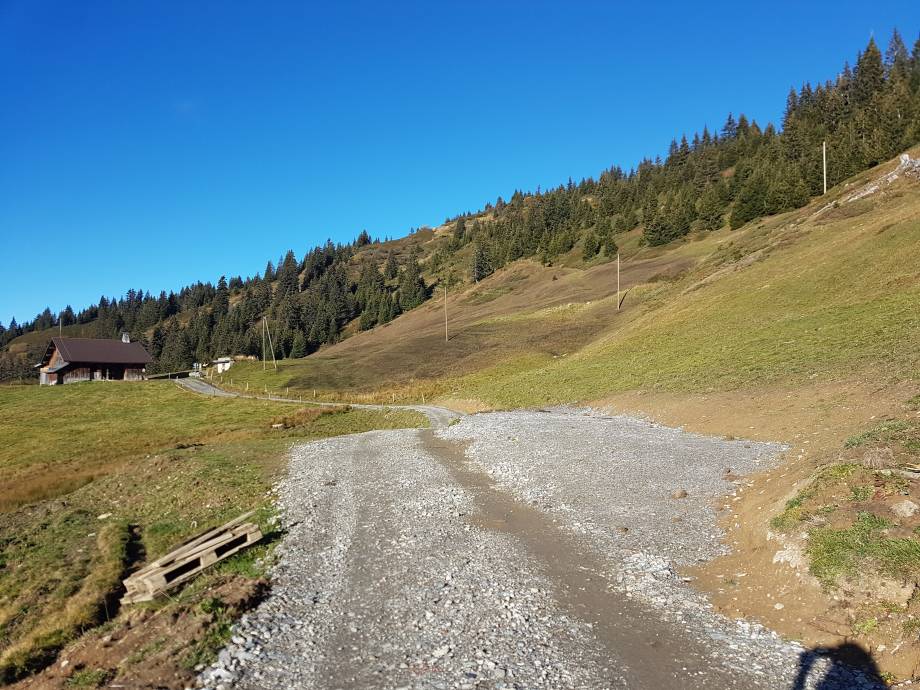 Voici une des trois plateformes de traite nouvellement aménagées