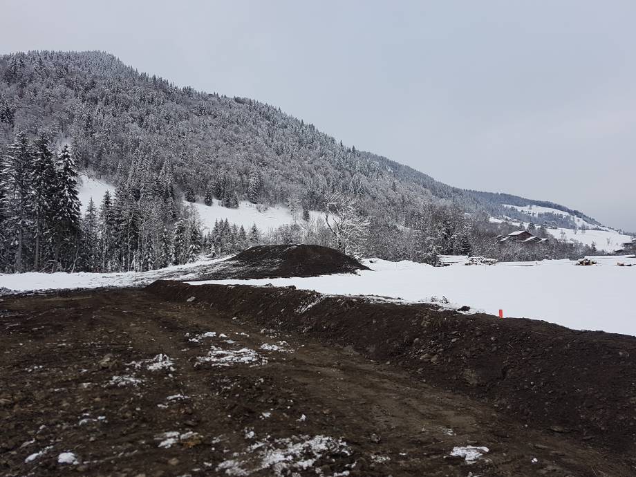Plan d'eau : décapage végétal de cette zone