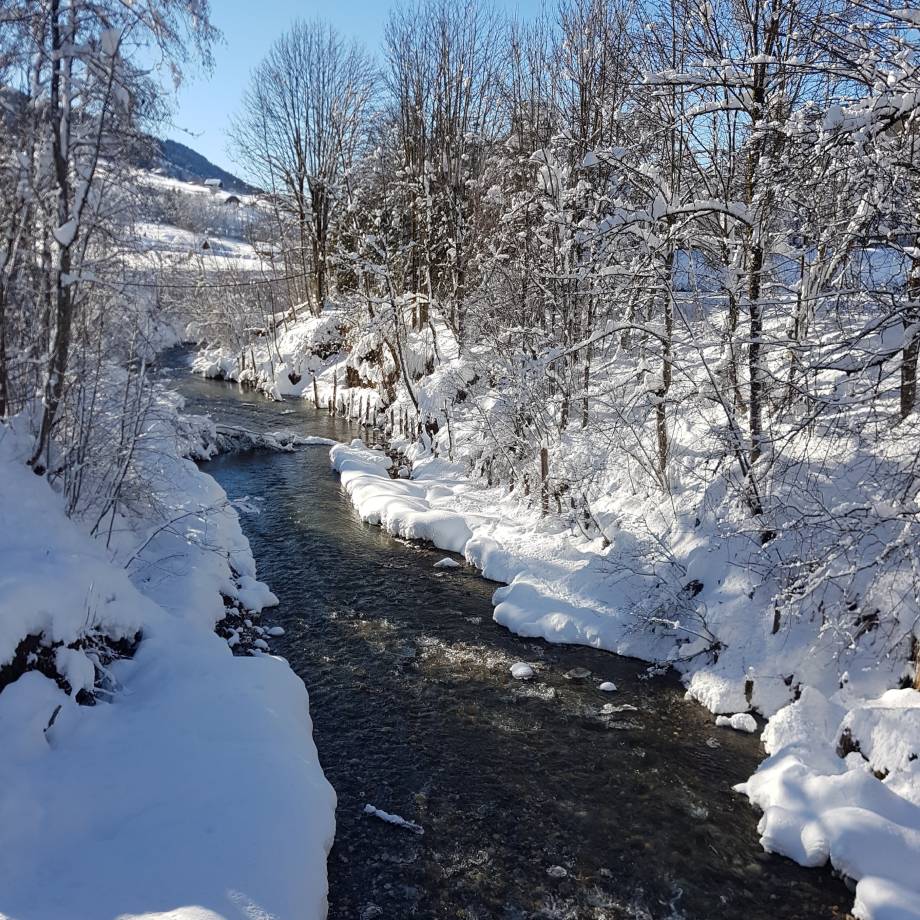 Arly le 13/12/2021 - Marie-Anaïs Lien