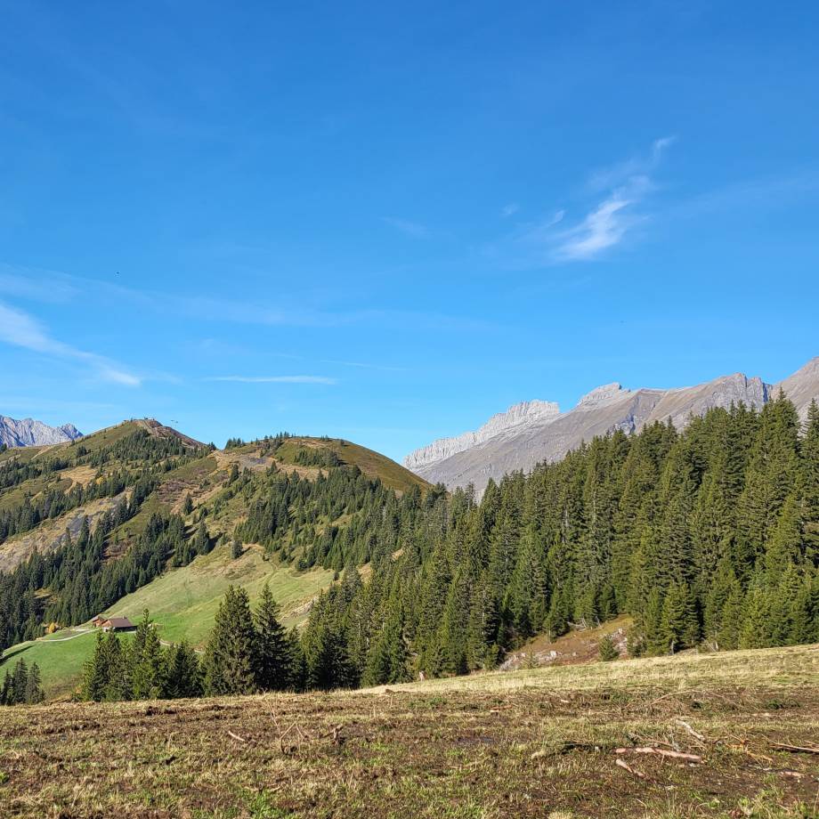 Vue sur le Torraz le 26/10/2022 - Pierre Bessy