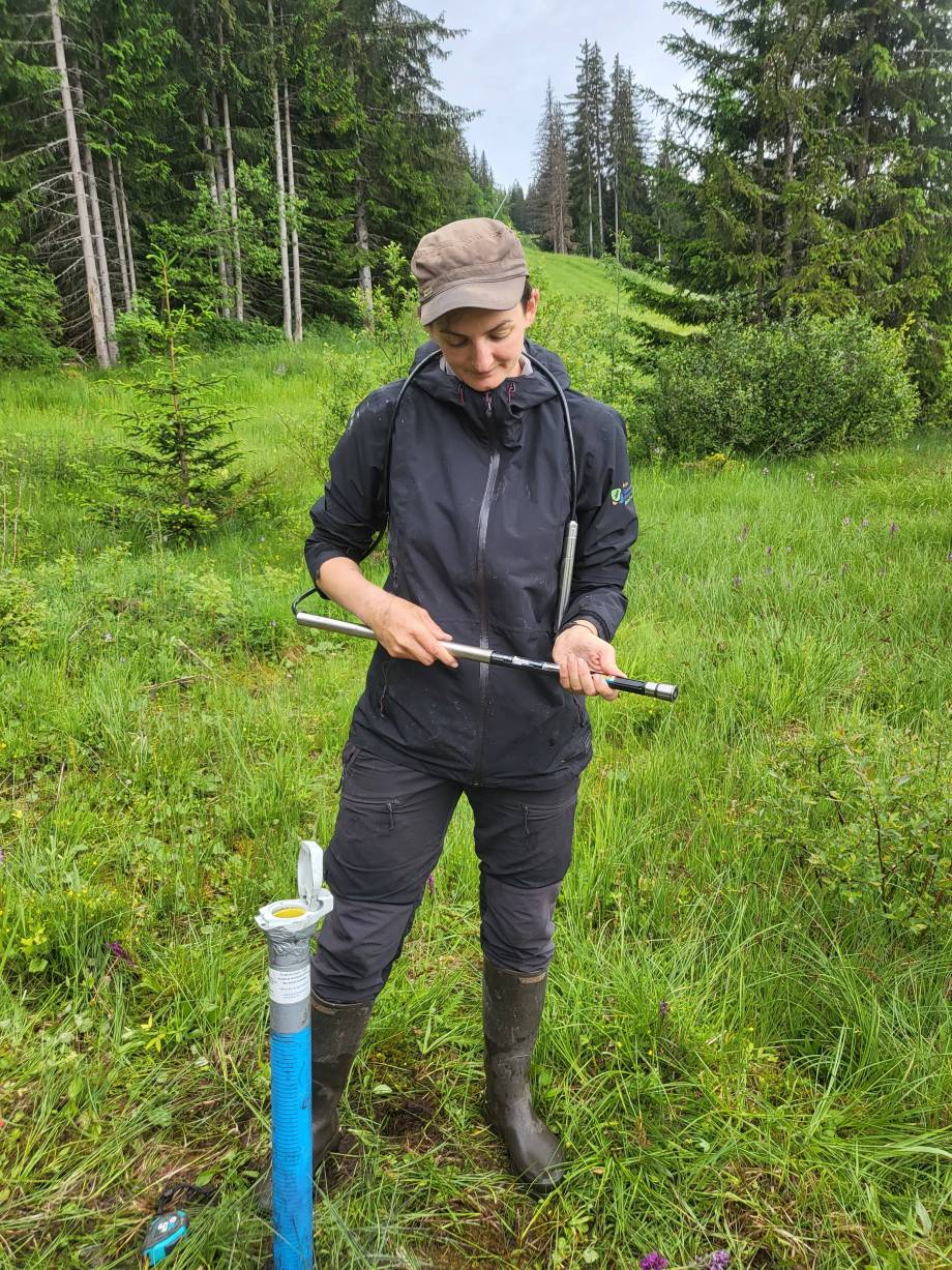 Zone humide des Évettes : préparation, installation de la sonde le 22 juin 2023 -  Pierre Bessy