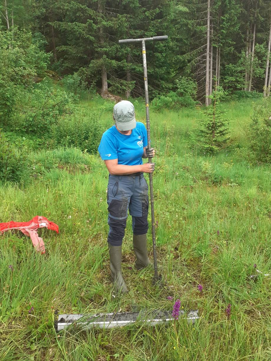 Zone humide des Évettes : creusement d’un trou à la tarière d’environ 1,3 m de profondeur pour enfoncer le piézomètre