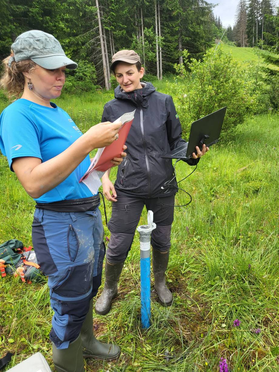 Zone humide des Évettes : paramétrage de la sonde le 22 juin 2023 -  Pierre Bessy