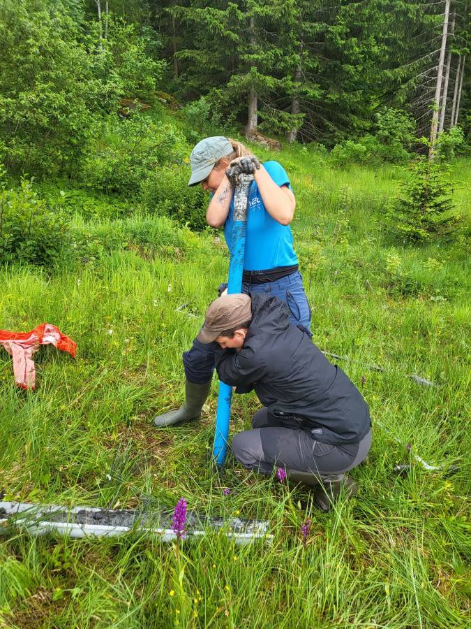 Pose d'une sonde piézométrique le 22/06/2023 - Pierre Bessy