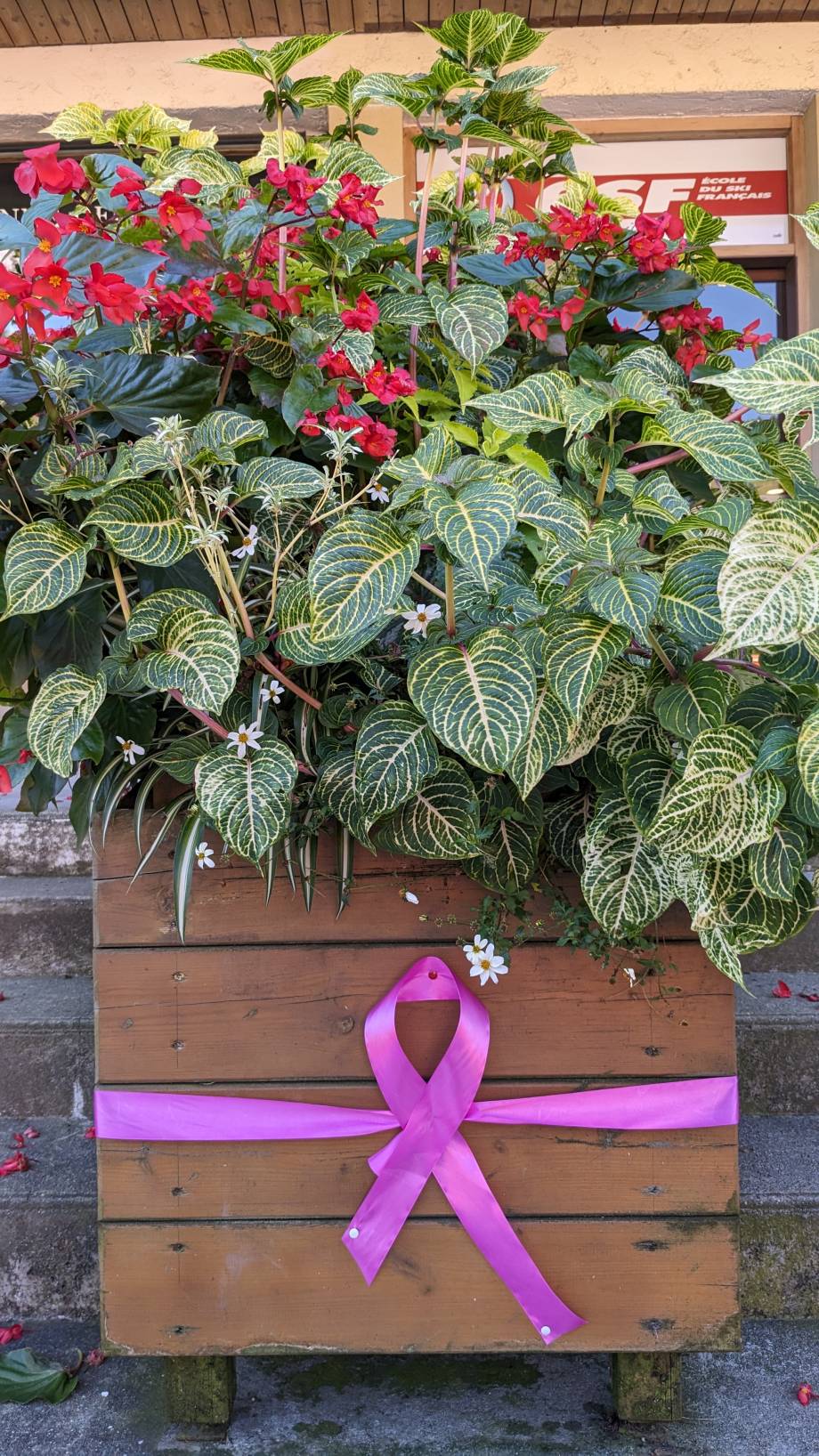 Octobre rose 2023 : la mairie en rose - Marie-Anaïs Lien