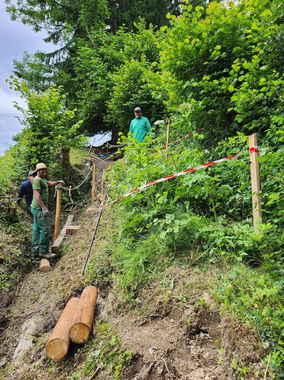 Sentier "La Thonnaz ne sonne plus !" : sécurisation et retraçage du profil - Pierre Bessy