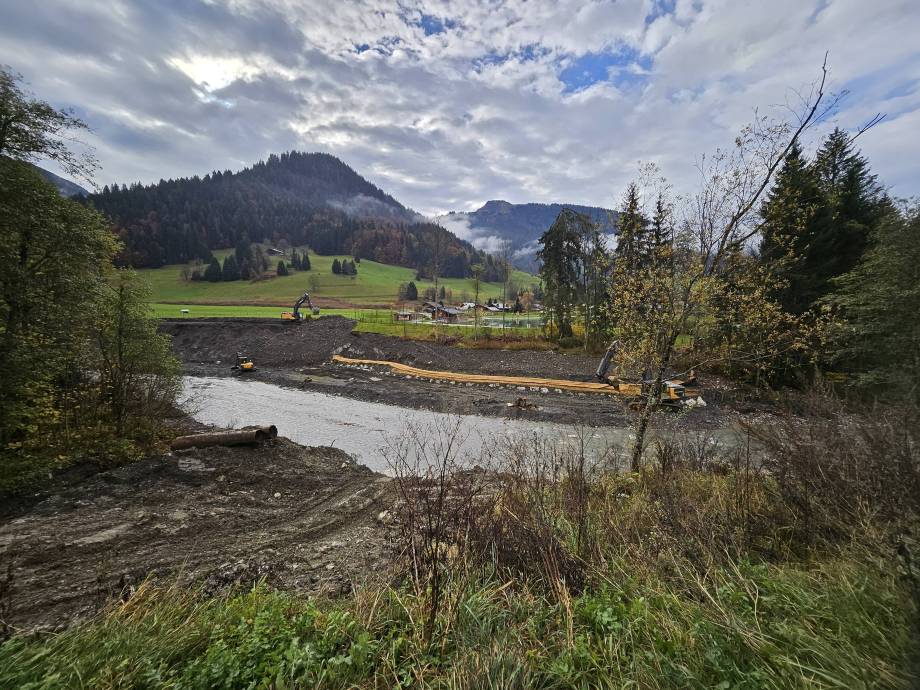 Travaux effectués sur la berge du lac - Jean-Paul Jaccaz