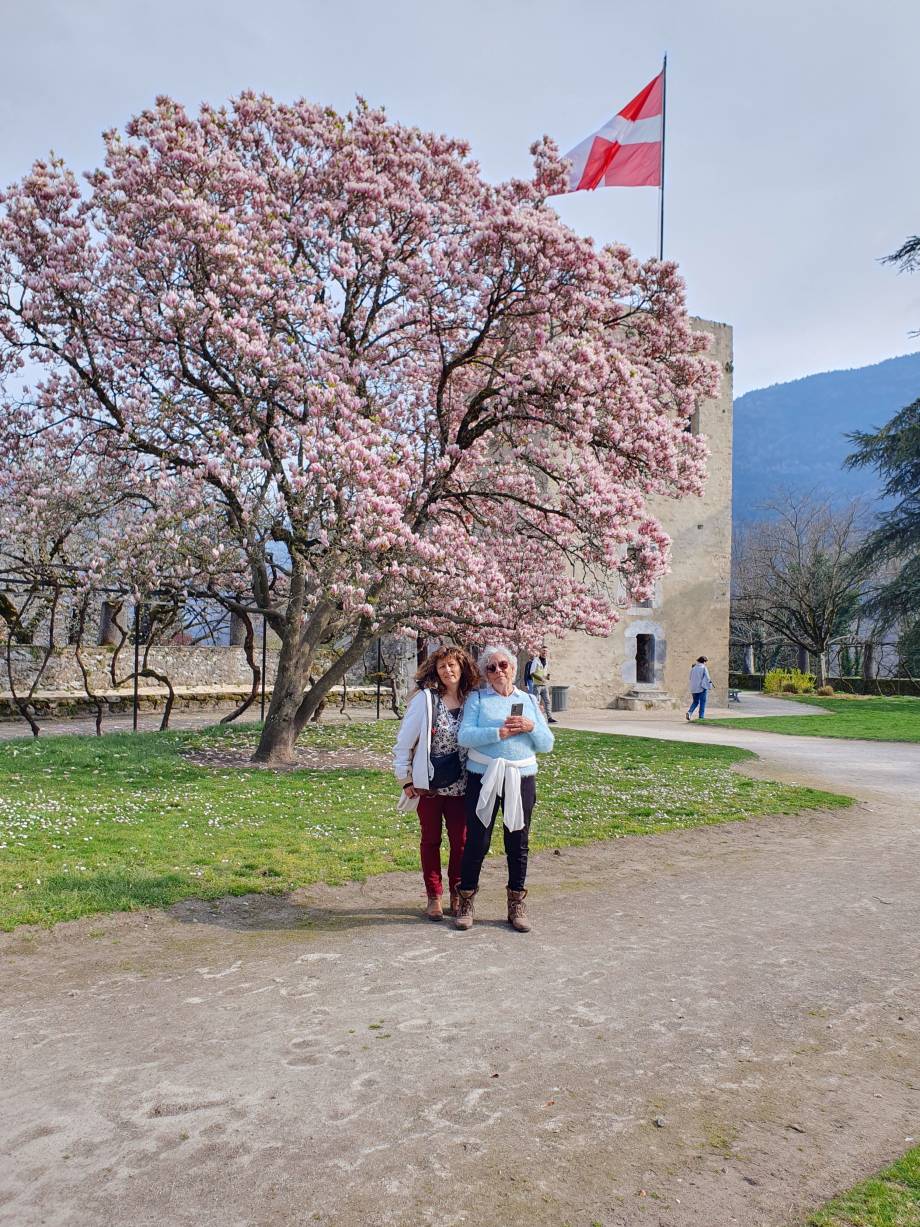 Le Jardin de la Tour Sarrasine : une belle touche naturelle dans la cité de Conflans – Inconnu
