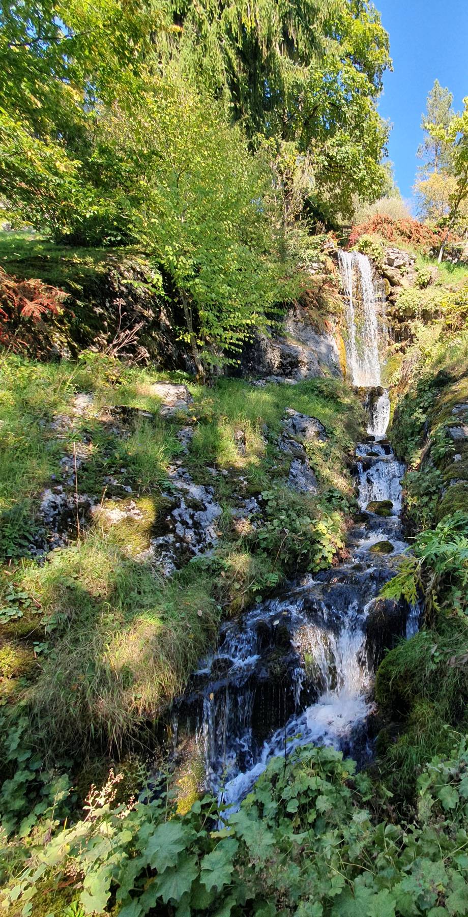 En septembre, le jardin botanique alpin de La Jaÿsinia de Samoëns a dévoilé quelques-uns de ses secrets aux membres de BVEP. - Maryse Briffaz