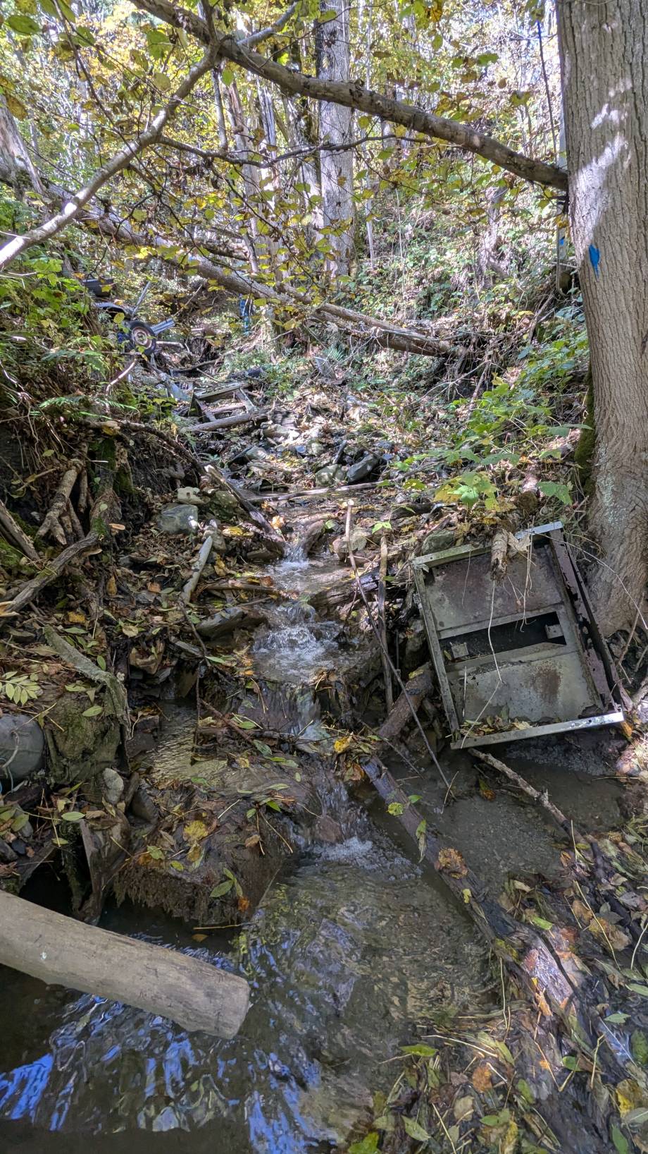 Déchets (ferraille, porcelaine...) ayant été évacués du site - Marie-Anaïs Lien