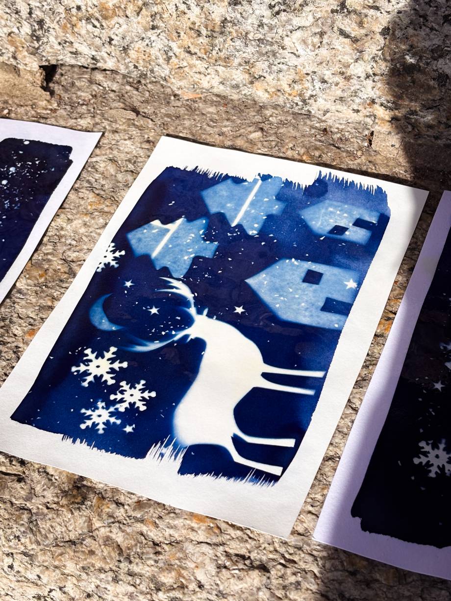 Exemple de cyanotype créé à l’école des Éterlous – Margaux Meurisse