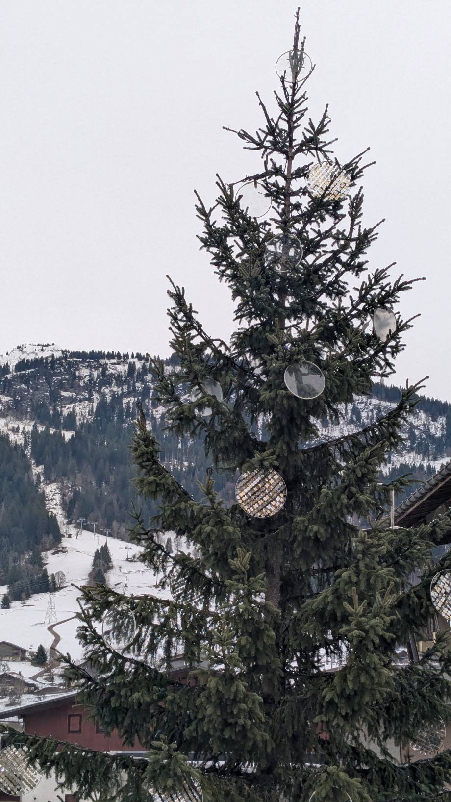 Le sapin de Noël de 2025 sous un ciel blanc - Marie-Anaïs Lien