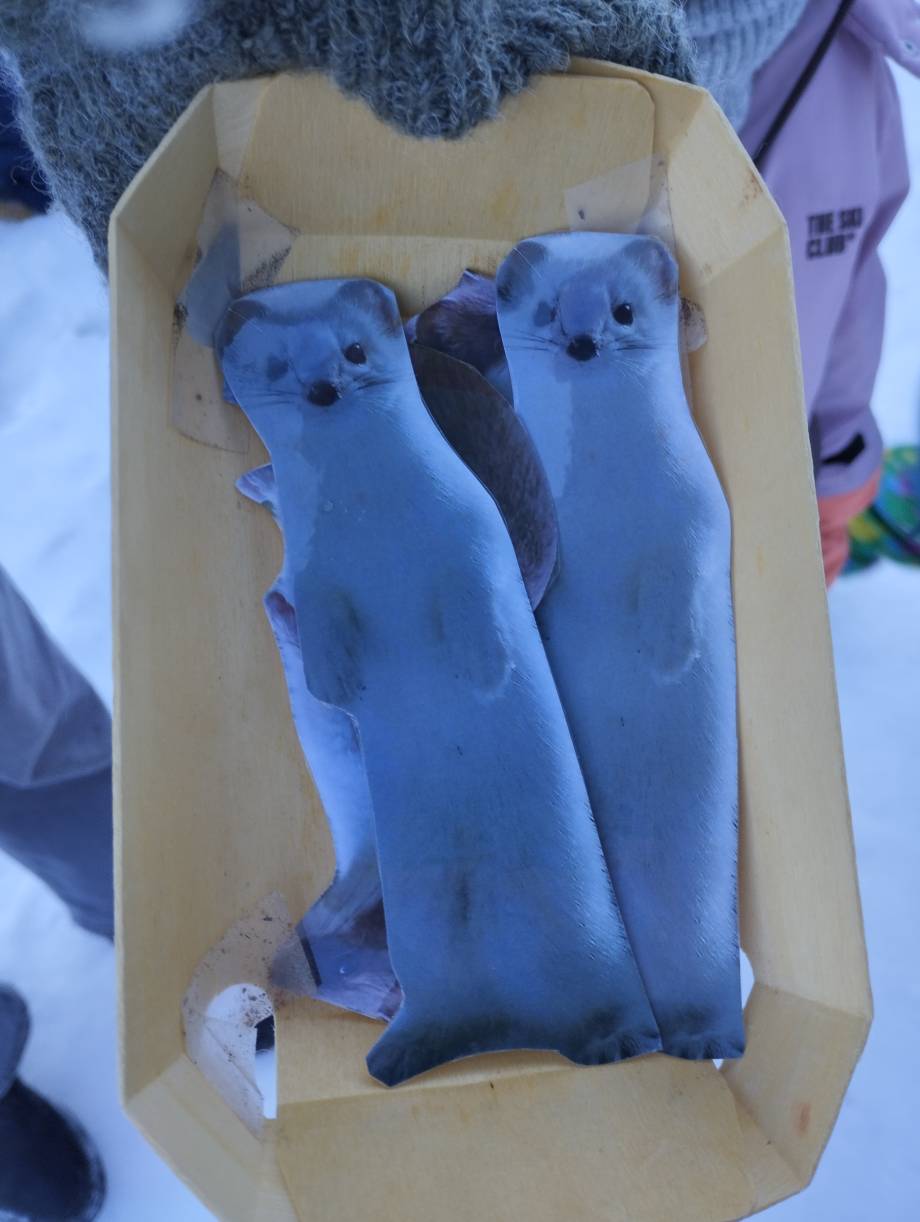 Animation de la CCPMB et du Centre de la nature montagnarde