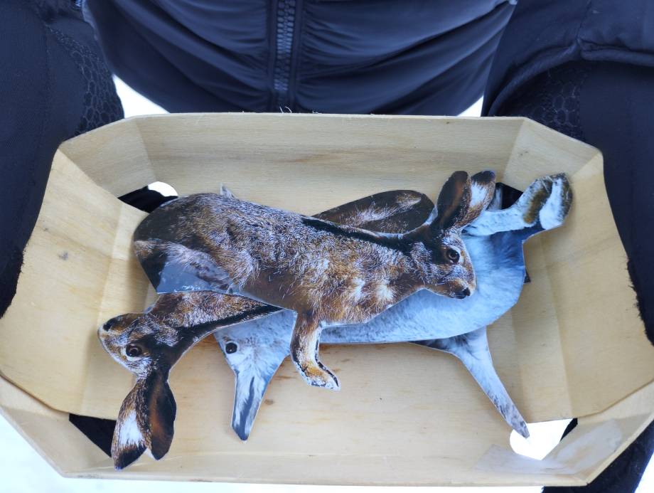 Animation de la CCPMB et du Centre de la nature montagnarde