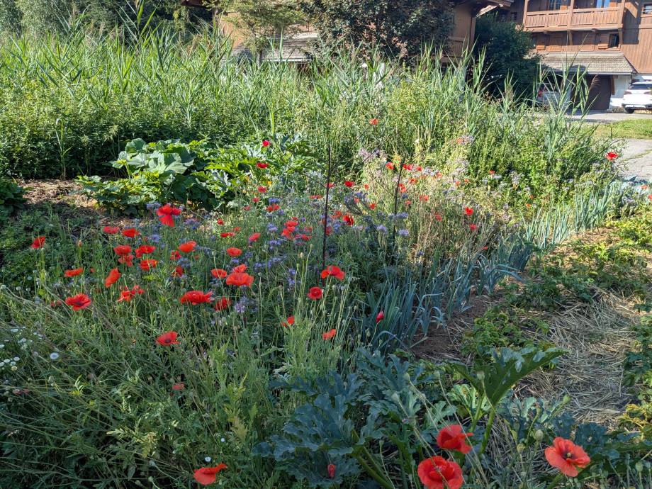 Concours des Maisons Fleuries : remise des prix du 19/09/2026 - Marie-Anaïs Lien