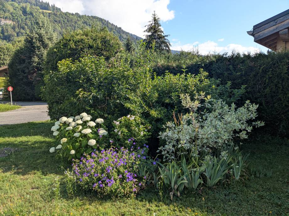 Concours des Maisons Fleuries : remise des prix du 19/09/2026 - Marie-Anaïs Lien