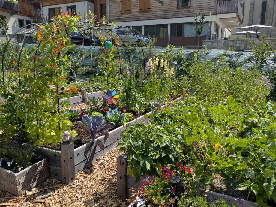 Concours des Maisons Fleuries : remise des prix du 19/09/2026 - Marie-Anaïs Lien