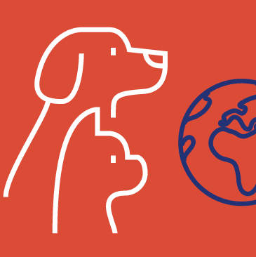 Campagne de prévention contre la rage - Format carré