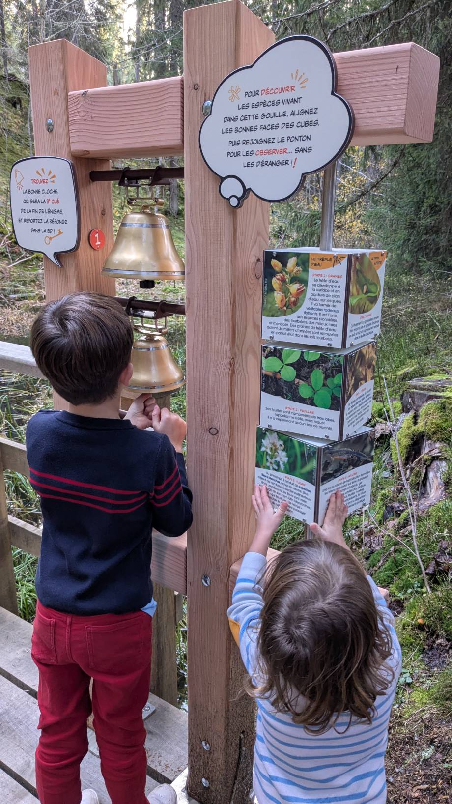 Sentier des minimouilles - Marie-Anaïs Lien