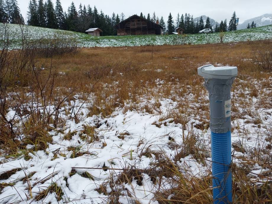 Sonde piétométrique prise en photo en 2025 - Arthur Jacquemin/Asters, CEN 74