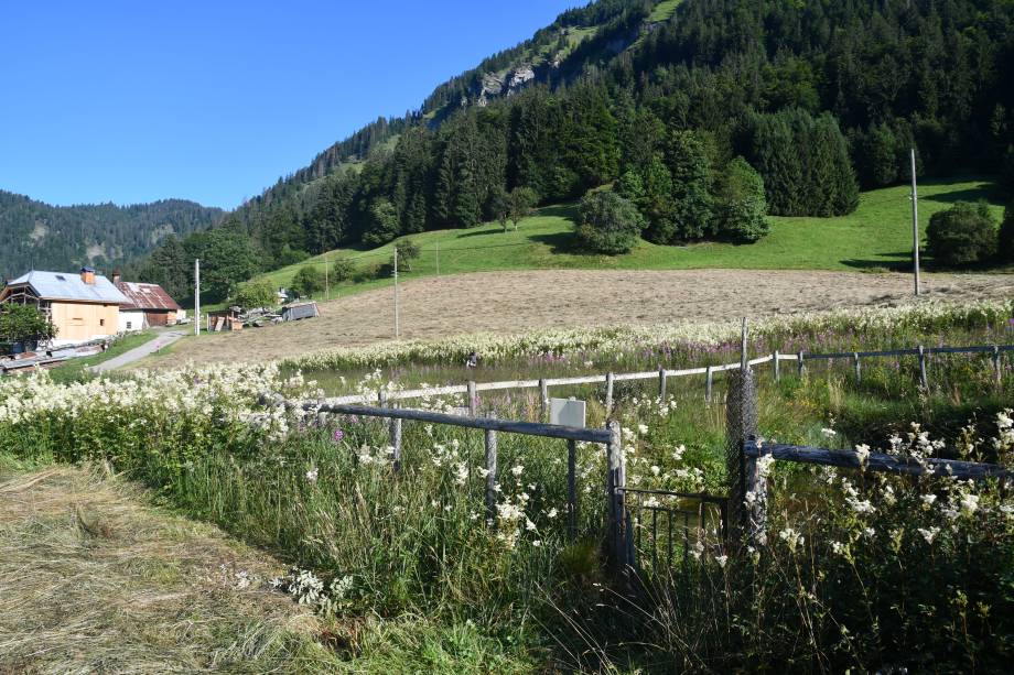 Zone humide des Granges : grillage ouvert à certains endroits pour faciliter l'accès des amphibiens et de la petite faune en 2025 - Arthur Jacquemin/Asters, CEN 74
