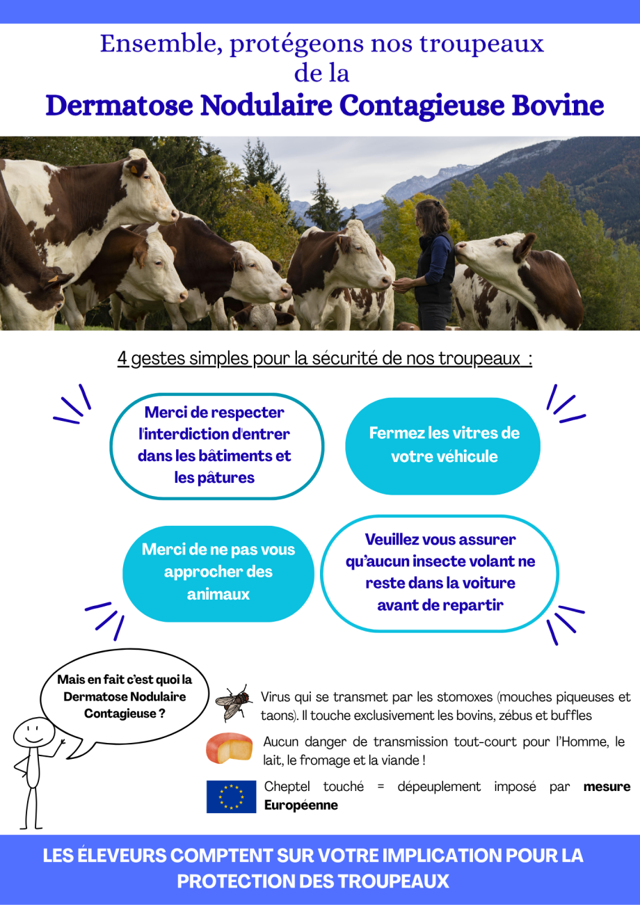 Affiche Dermatose nodulaire contagieuse bovine