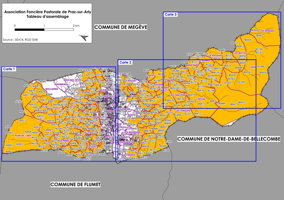 AFP de Praz-sur-Arly : tableau d'assemblage