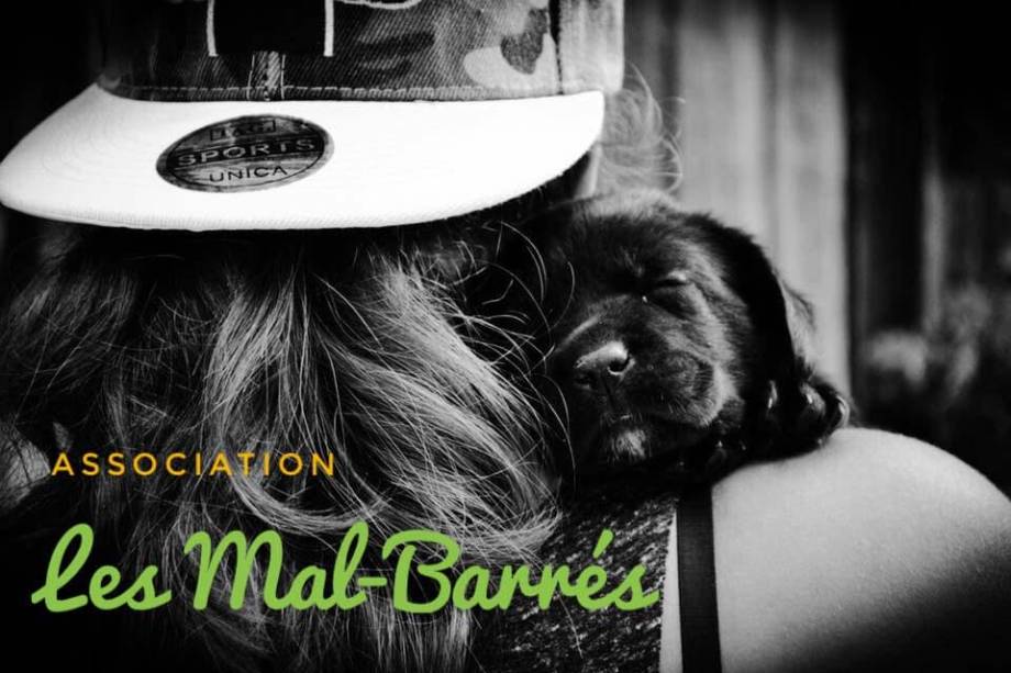 Les Mal-Barrés