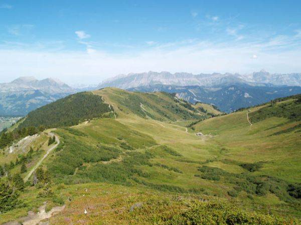 Basse Combe : le nouveau téléski partira près de la ferme pour se diriger sur la gauche de la photo, sur un tracé assez proche du cheminement que l'on devine au milieu des arbustes.