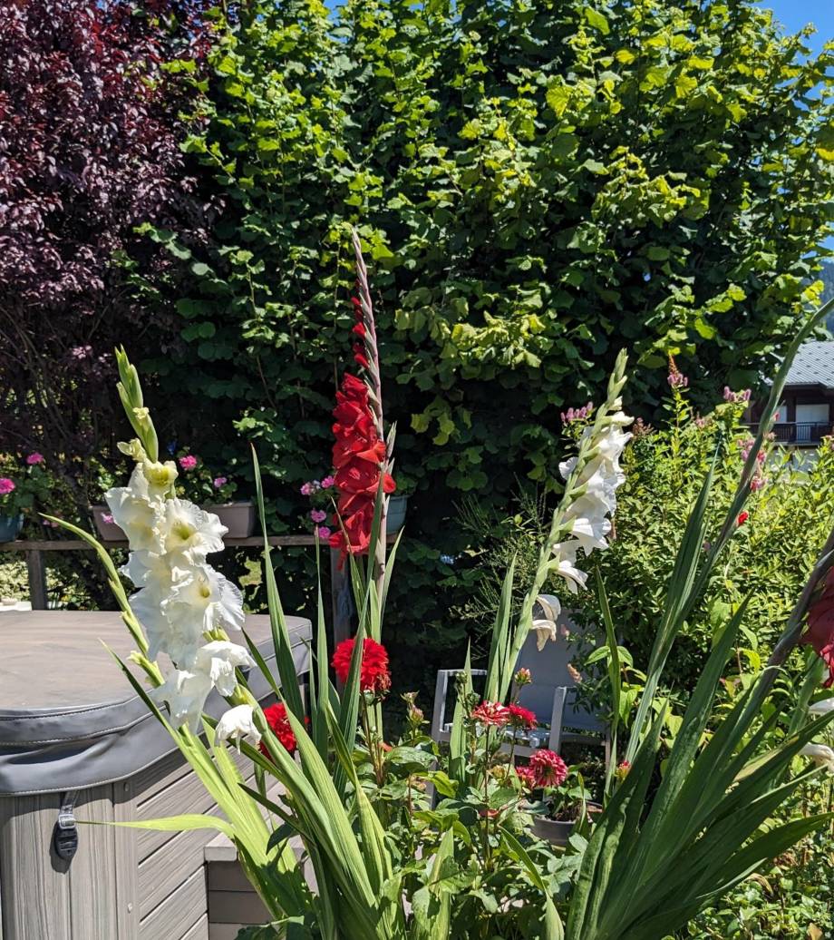Concours des maisons fleuries 2024, catégorie « Chalets avec potager »