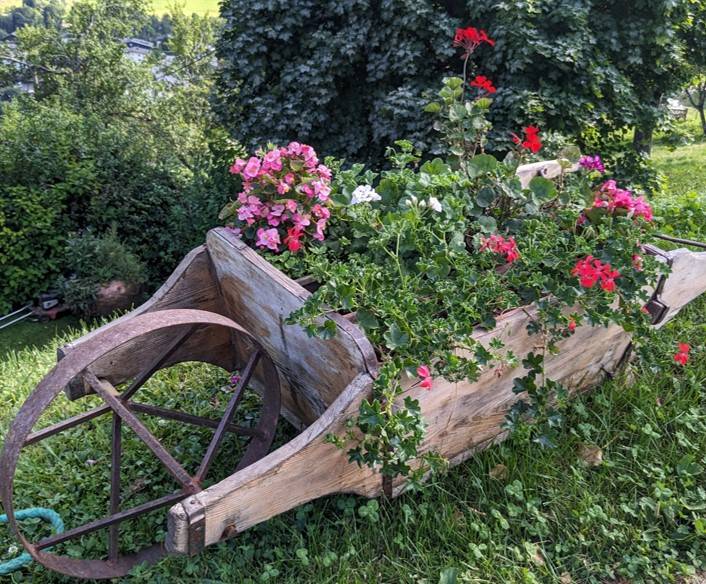 Concours des maisons fleuries 2024, catégorie « Chalets sans potager »