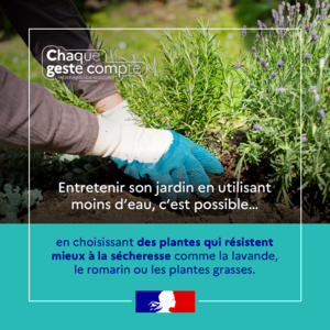 Chaque geste compte pour économiser l'eau - Choix des plantes - Préfecture de la Haute-Savoie