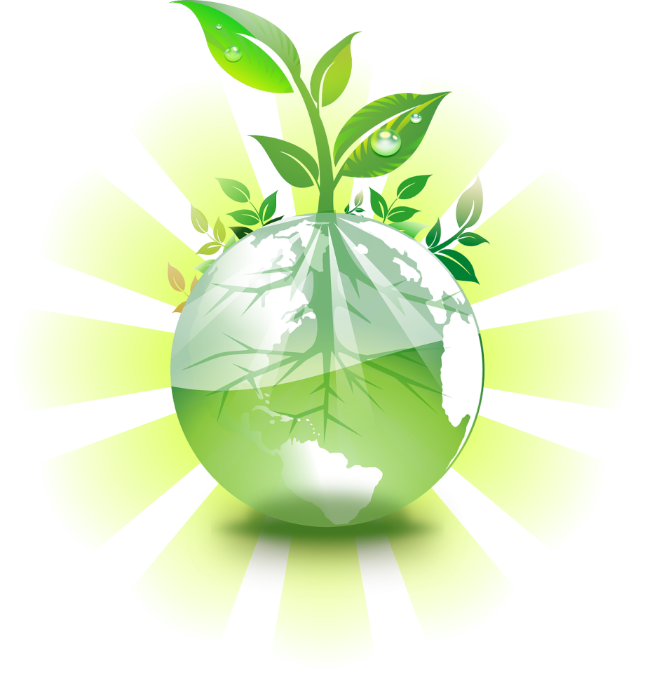 Environnement, écologie et nature - OpenClipart Vectors/Pixabay
