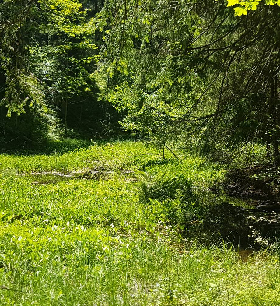 Environnement © Marie-Anaïs Lien