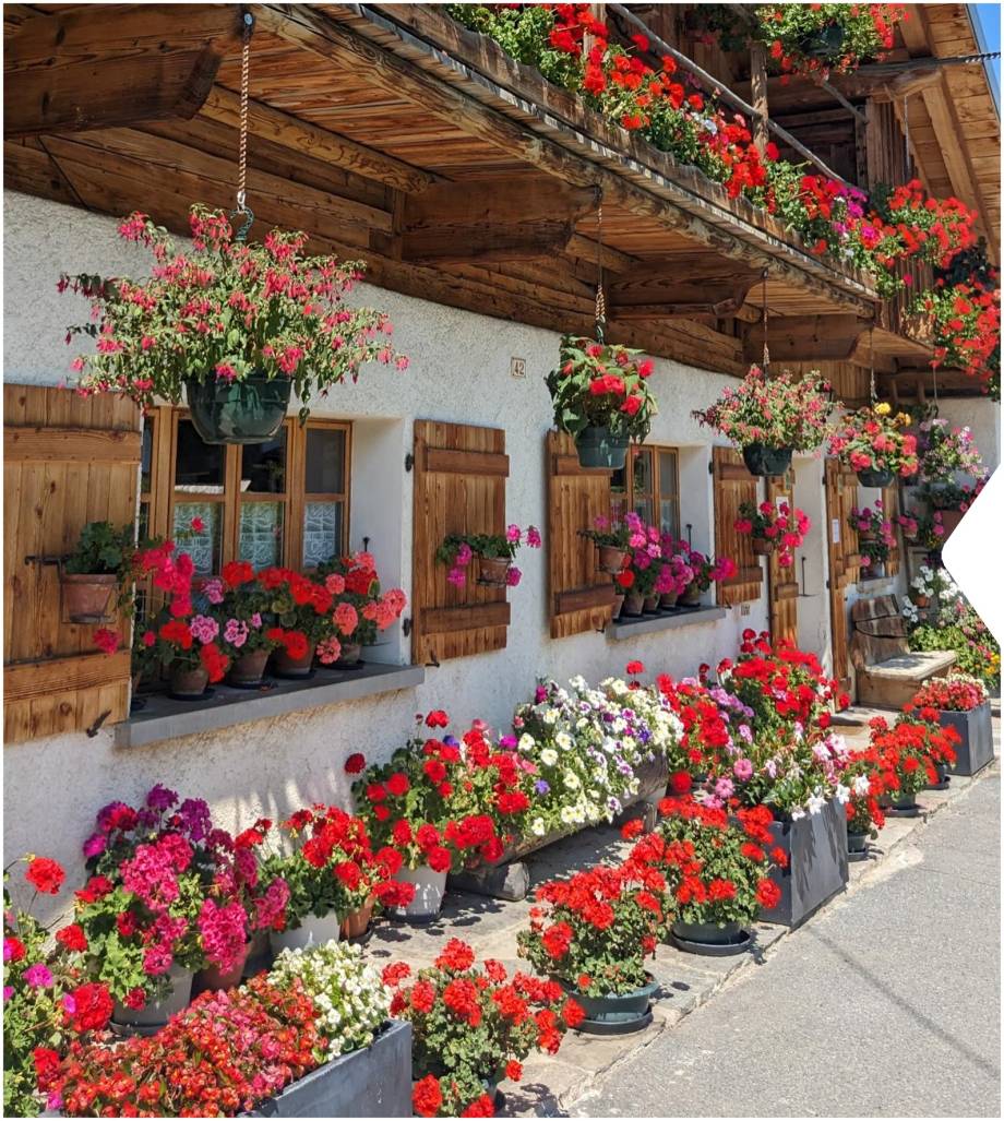 Concours des maisons fleuries 2024, catégorie « Fermes »