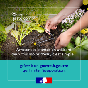 Chaque geste compte pour économiser l'eau - Goutte à goutte - Préfecture de la Haute-Savoie