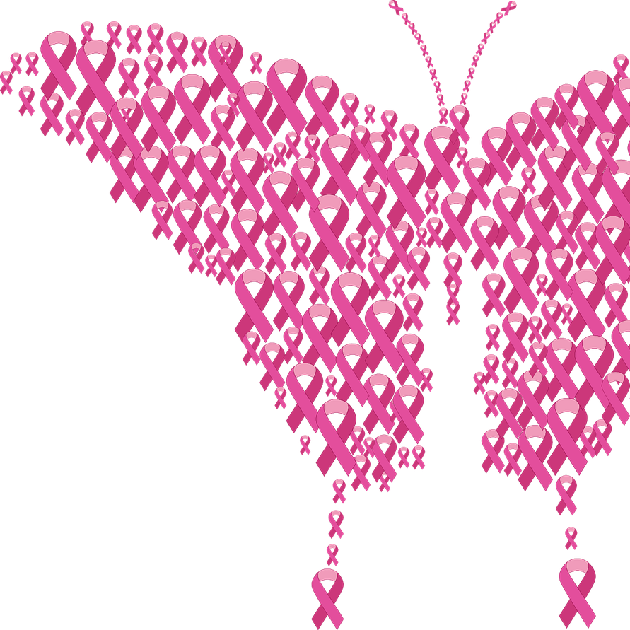 Cancer du sein : campagne Octobre rose - Format carré - Gordon Johnson/Pixabay