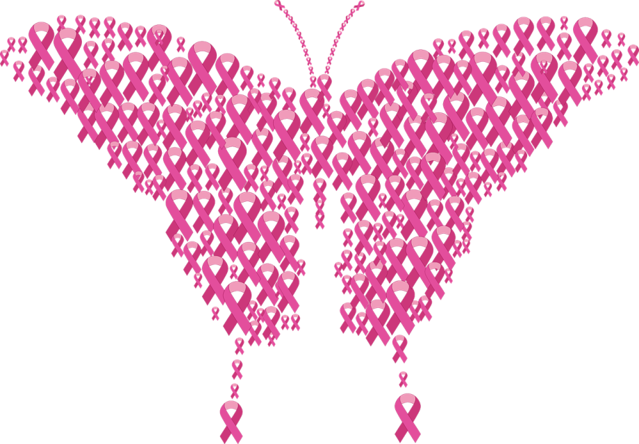 Octobre rose 2024 : visuel créé  - Gordon Johnson/Pixabay