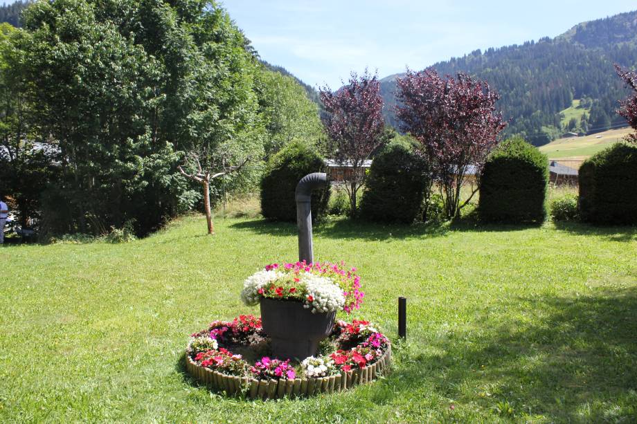 Haie discontinue, composée de différentes espèces : un bon exemple ! - Solange Cooke